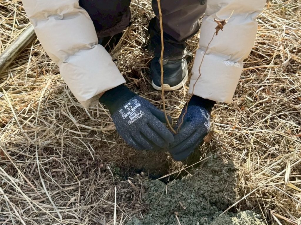 「人」と「自然」がともに育つ持続的な取り組みへ